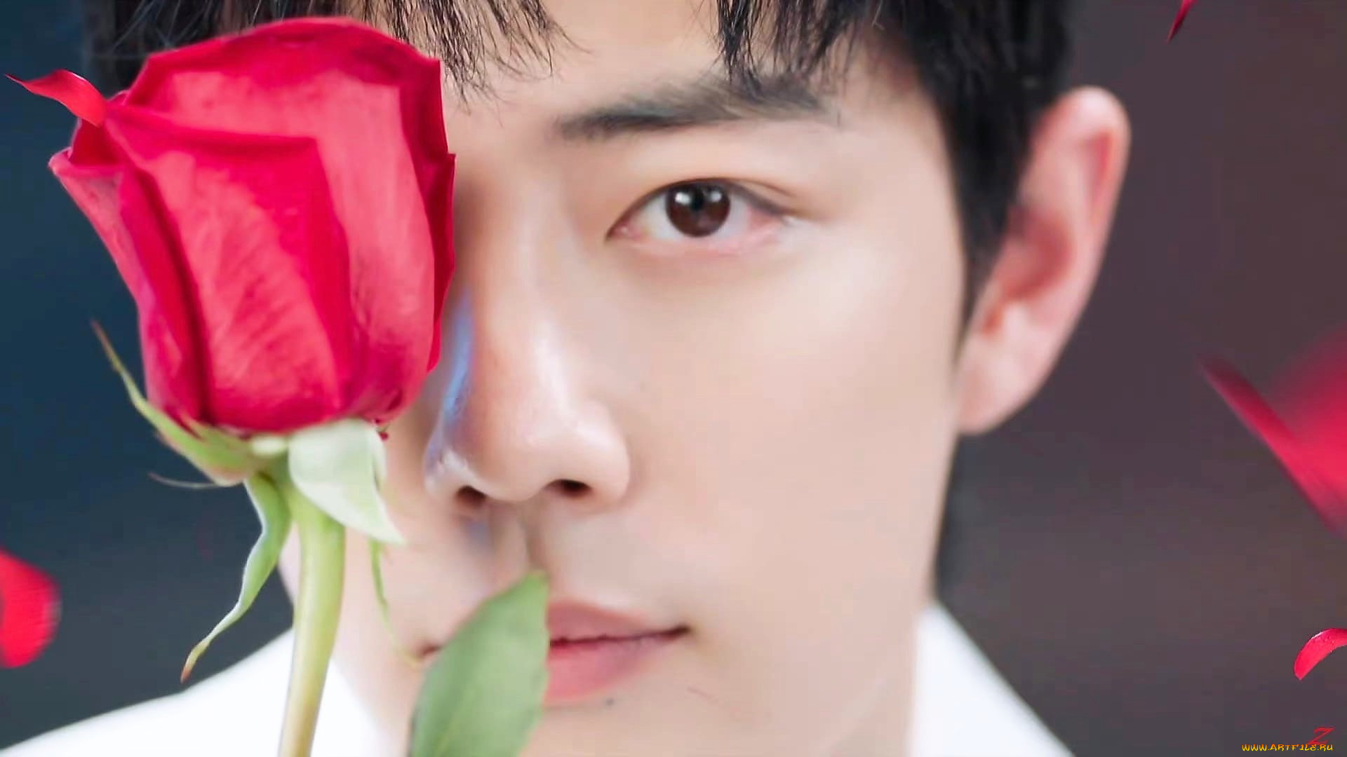 , xiao zhan, , , 